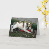 慈悲を言って下さい! カード (黄色い花)