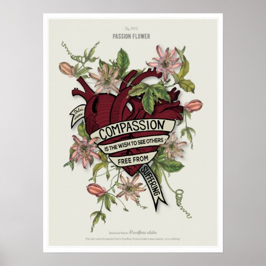 慈悲 – ダライラマ引用文 ポスター (正面)