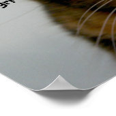 態度と太った猫、不機嫌な子猫の歌 ポスター (角)