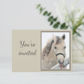 態度のあるグレーホースへの一般招待 招待状 (スタンド正面)