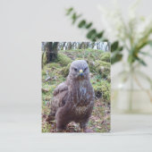 態度のでかいワシ ポストカード (スタンド正面)