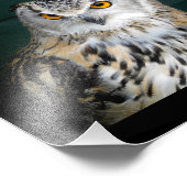 態度のフクロウ フォトプリント            (角)