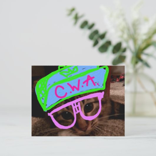 態度の猫 ポストカード (スタンド正面)