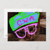 態度の猫 ポストカード (正面/裏面)