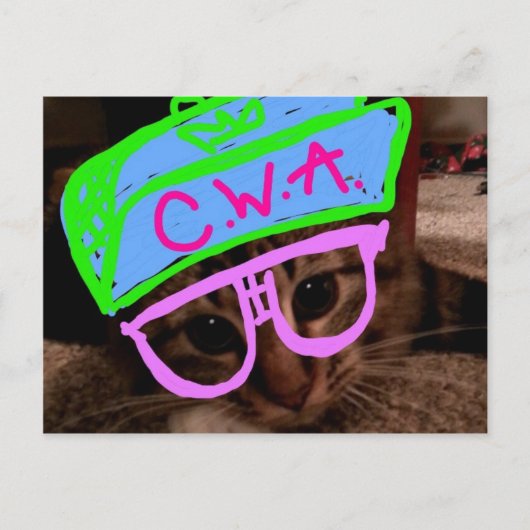 態度の猫 ポストカード (正面)