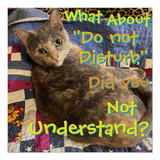 態度ポスター付き猫 ポスター (正面)