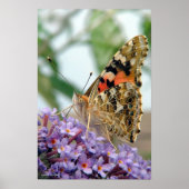 「態度」ポスター ポスター (正面)