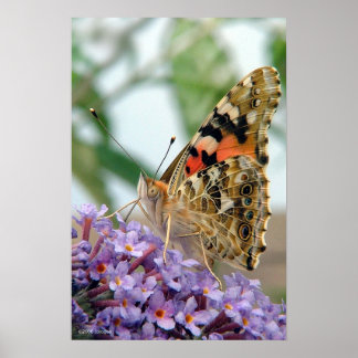 「態度」ポスター ポスター