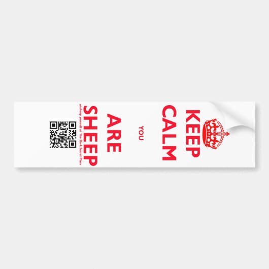 態度#1 バンパーステッカー (正面)