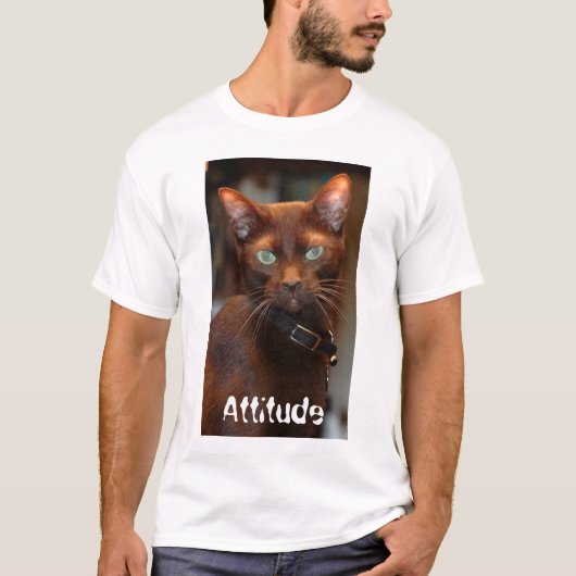 態度Tの猫 Tシャツ (正面)