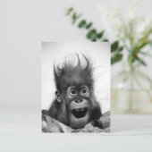 慌てるな！ポストカード ポストカード (スタンド正面)