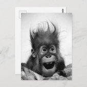 慌てるな！ポストカード ポストカード (正面/裏面)