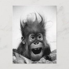 慌てるな！ポストカード ポストカード