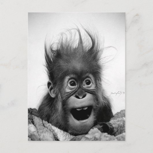 慌てるな！ポストカード ポストカード (正面)