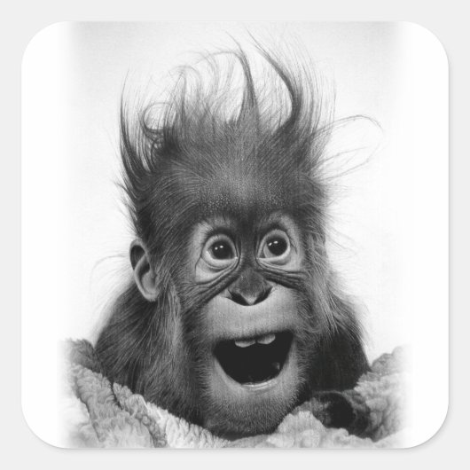 慌てるな!四角ステッカー スクエアシール (正面)