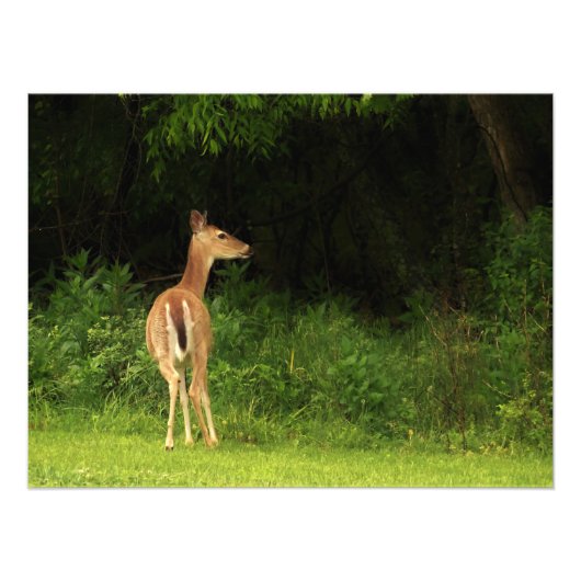 慎重な配慮 フォトプリント            (正面)