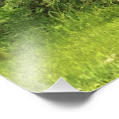 慎重な配慮 フォトプリント            (角)