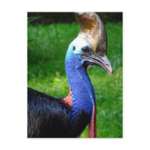 慎重な頭部と首の印象的な縦断ビュー