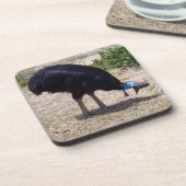 慎重な鳥の防虫剤 コースター (左側)