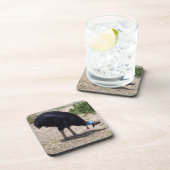 慎重な鳥の防虫剤 コースター (右側)