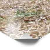 慎重な鳥の防虫剤 フォトプリント            (角)