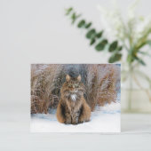 「慎重親愛さ」のはがき ポストカード (スタンド正面)