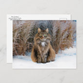 「慎重親愛さ」のはがき ポストカード (正面/裏面)