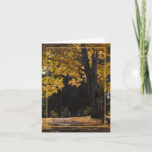 慰めの散歩 カード (正面)