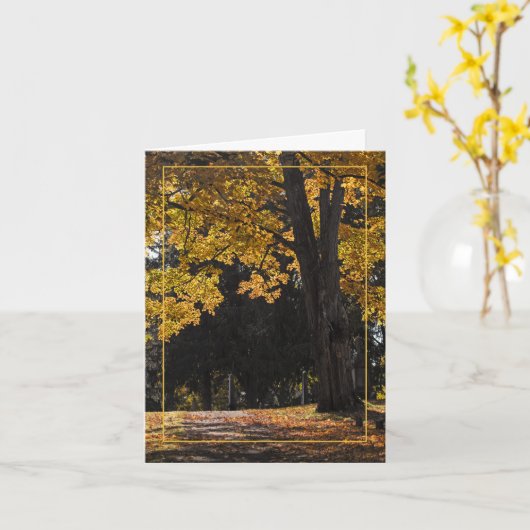 慰めの散歩 カード (黄色い花)