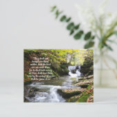 慰めの聖書のメッセージポストを持つ森林の流れ ポストカード (スタンド正面)