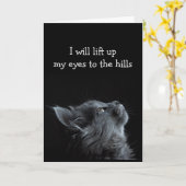 慰めの聖書の言葉　励ましの聖句 カード (黄色い花)