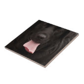 憂うつの顔 タイル (側面)