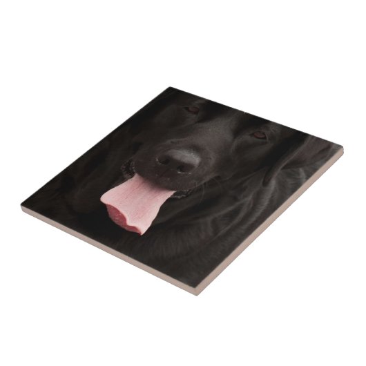 憂うつの顔 タイル (側面)