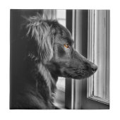 憂うつ タイル (正面)