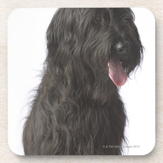 憂うつ、Briard コースター (正面)