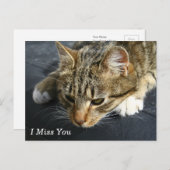 [憂鬱な猫]あ恋しく思な ポストカード (正面/裏面)