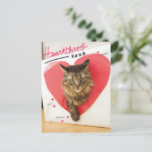 憧れの的猫 ポストカード (スタンド正面)