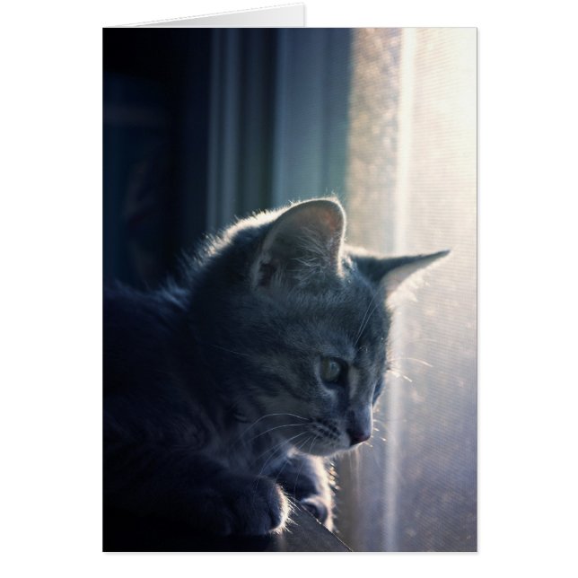 憧れること (正面)