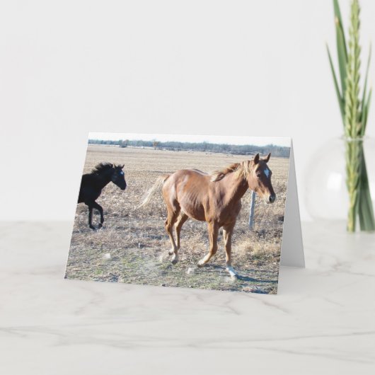 憧れ カード (正面)