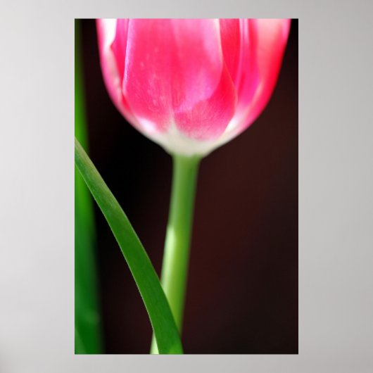 憧れ ポスター (正面)