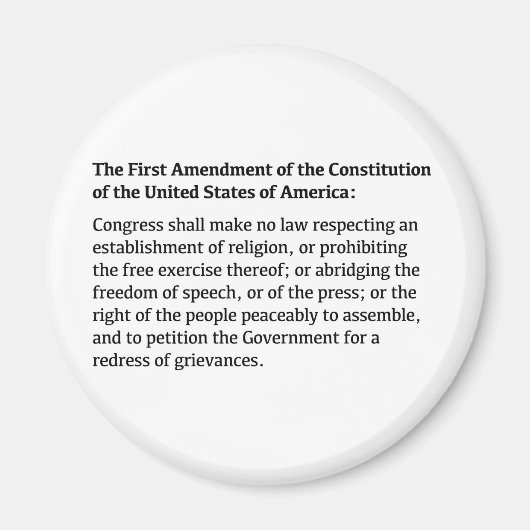 憲法改正 マグネット (正面)