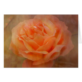 懇願は質と上がりました