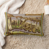 懐かしいアリゾナ腰枕 ランバークッション (ブランケット)