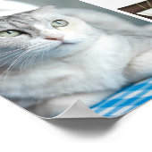 懐かしいカスタム思い出の中の猫のメモリアルのペットのコラージュ ポスター (角)