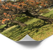 懐かしい秋の空 ポスター (角)