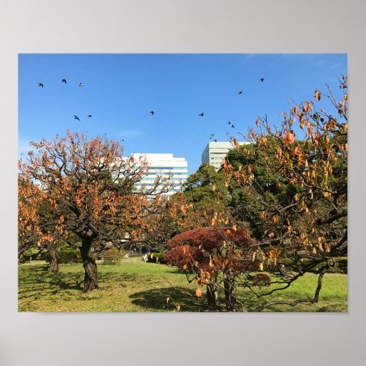 懐かしい秋の空 ポスター (正面)