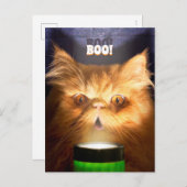 懐中電灯を持つ猫 インビテーションポストカード (正面/裏面)