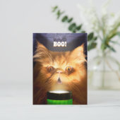 懐中電灯を持つ猫 インビテーションポストカード (スタンド正面)