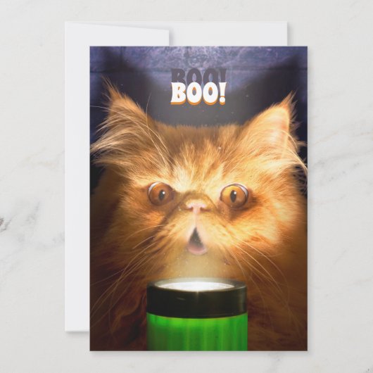 懐中電灯を持つ猫 招待状 (正面)