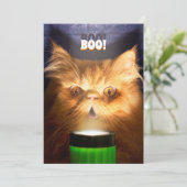 懐中電灯を持つ猫 招待状 (スタンド正面)